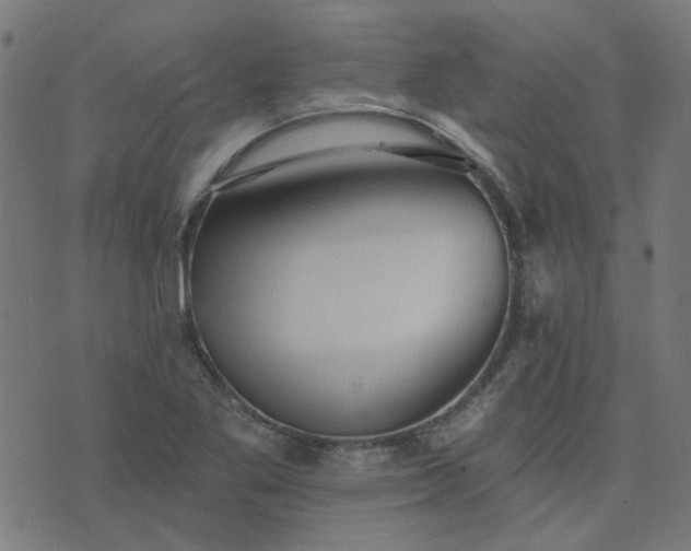 X0000076341269200610061452