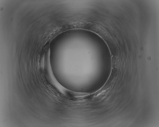 X0000076341298200610061450
