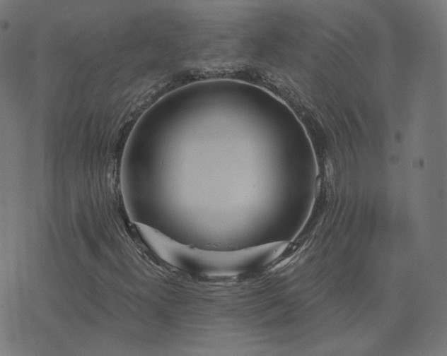 X0000076341300200610061450