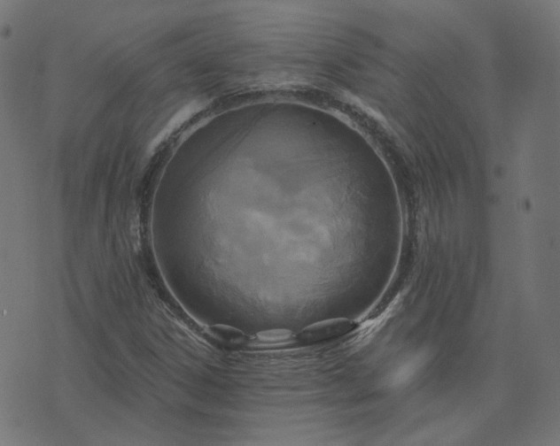 X0000076341306200610061450