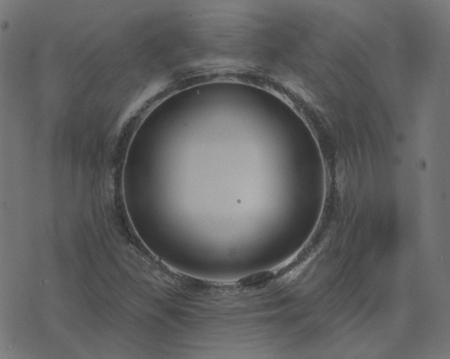 X0000076341309200610061451