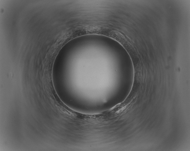X0000076341345200610061450