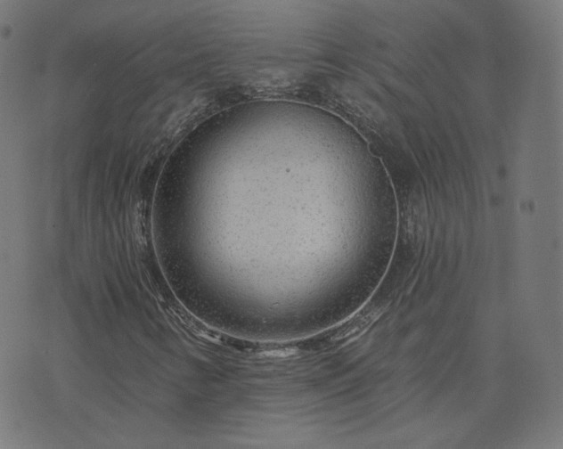 X0000076341346200610061450