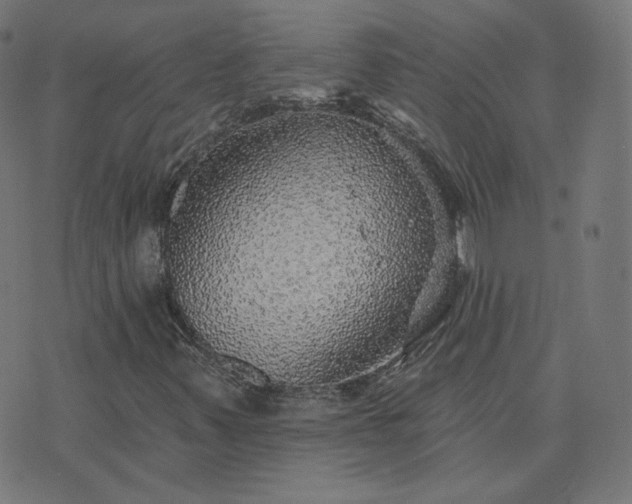 X0000076341347200610061450