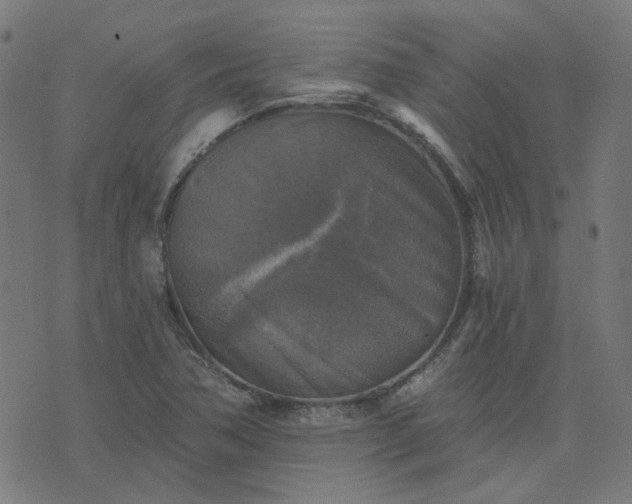 X0000076341362200610061450