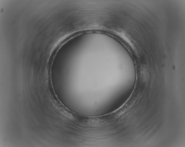 X0000076341364200610061450