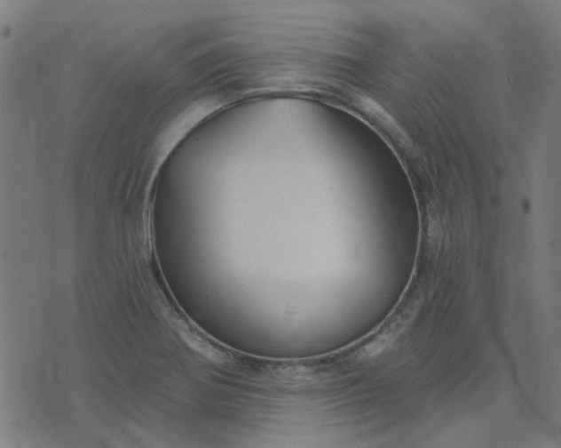 X0000076341370200610061450
