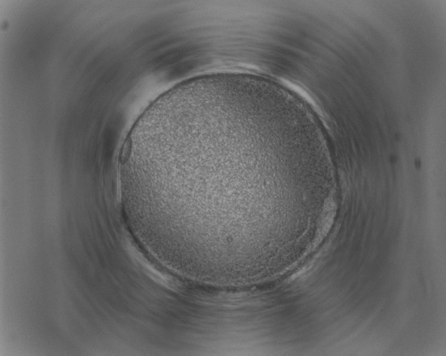 X0000076341371200610061450