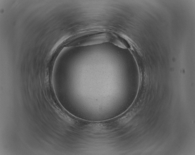 X0000076341450200610061449