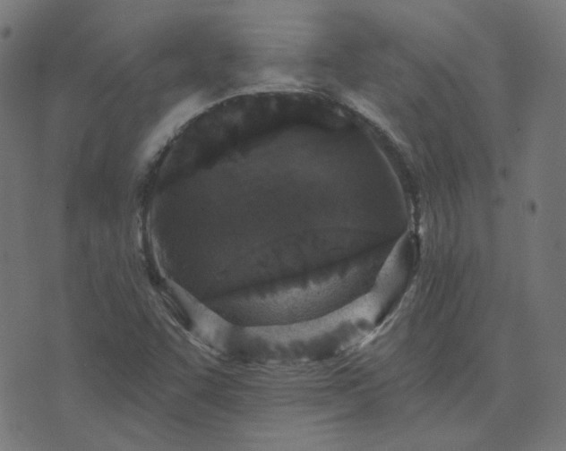 X0000076341455200610061449