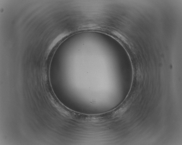 X0000076341458200610061448