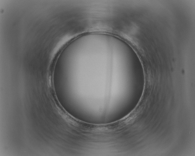 X0000076341462200610061448