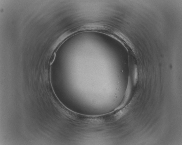 X0000076341465200610061448