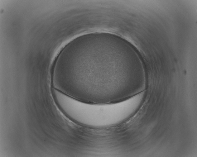 X0000076341508200610061448