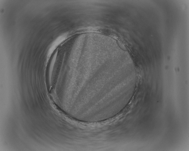 X0000076340006200610161745