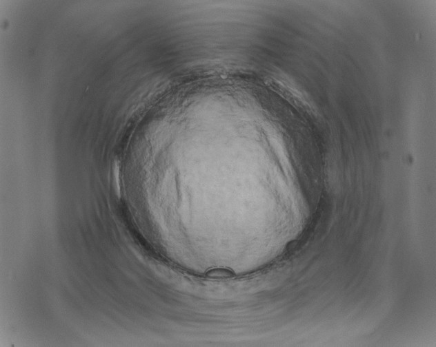 X0000076340022200610161745