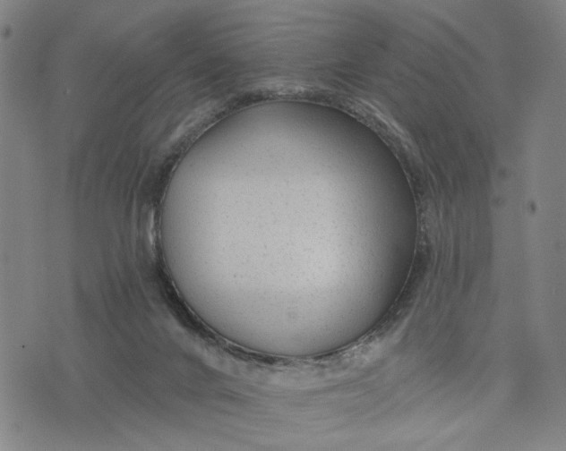 X0000076340024200610161745