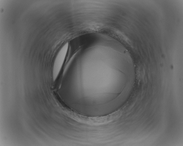 X0000076340027200610161745