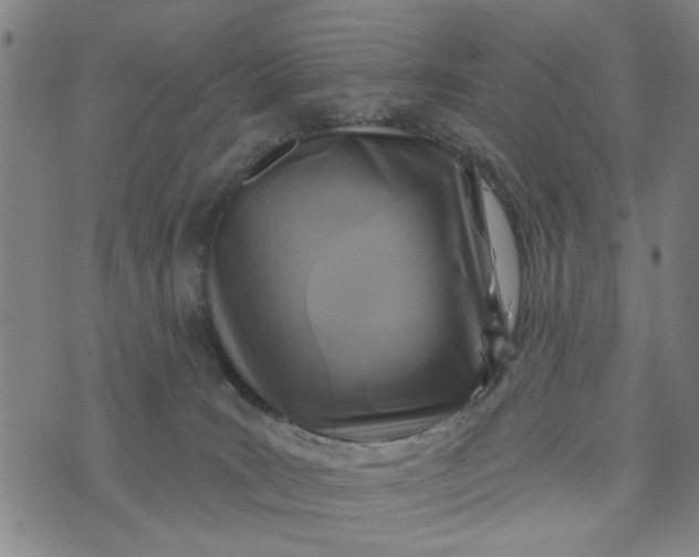 X0000076340035200610161745