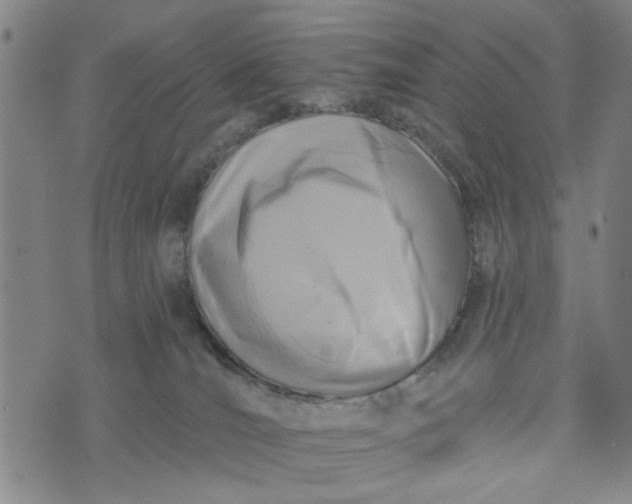 X0000076340036200610161745
