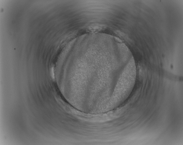 X0000076340042200610161745