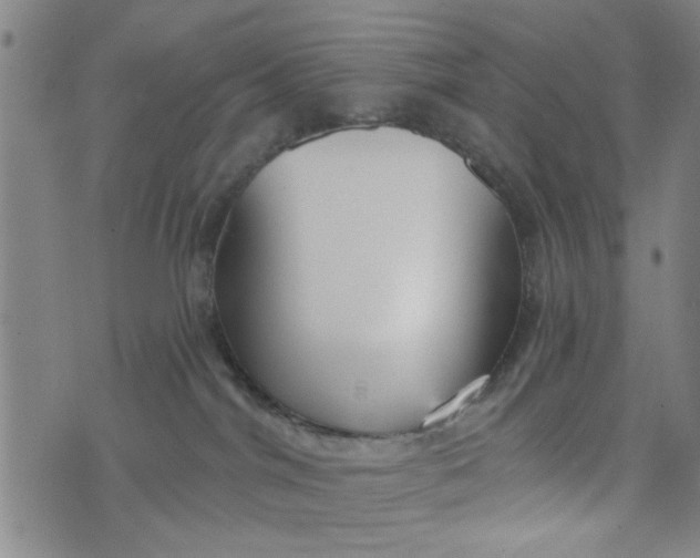X0000076340044200610161745