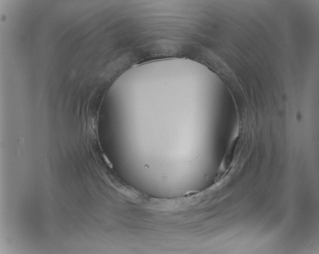 X0000076340045200610161745