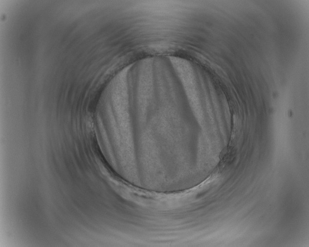 X0000076340048200610161745