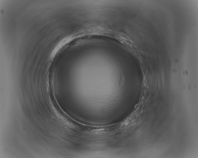 X0000076340054200610161744