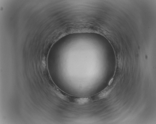 X0000076340085200610161744