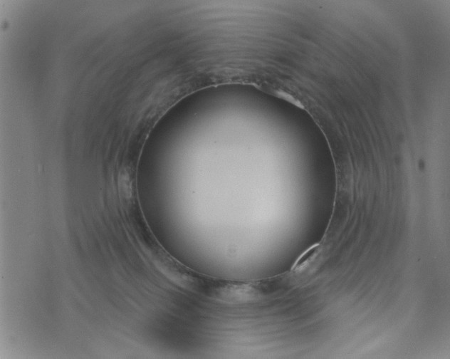 X0000076340086200610161744