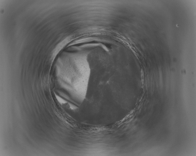 X0000076340099200610161744