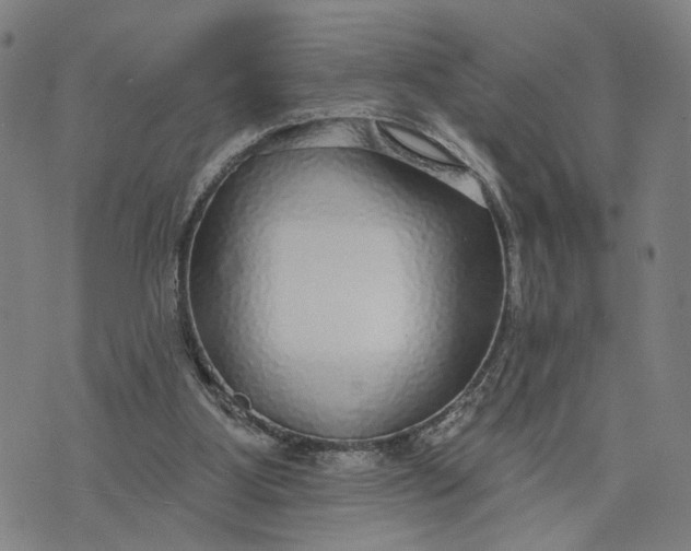 X0000076340107200610161744