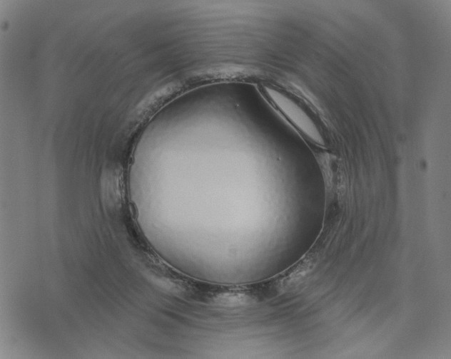 X0000076340119200610161743