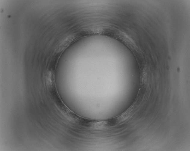 X0000076340122200610161743
