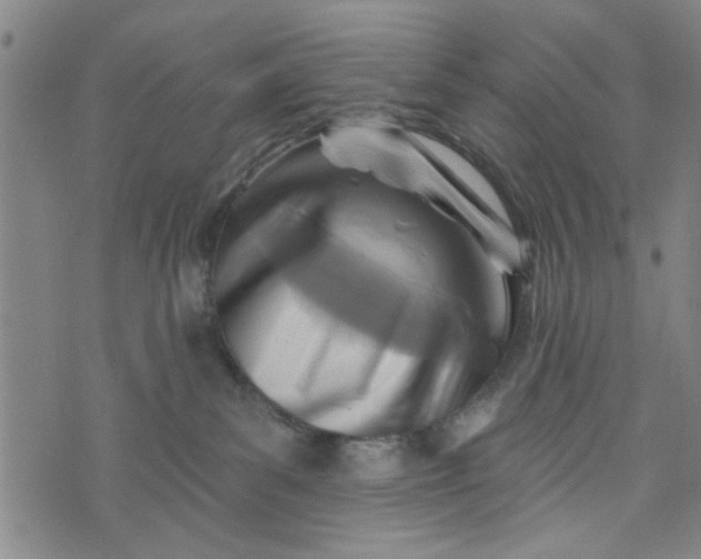 X0000076340139200610161743