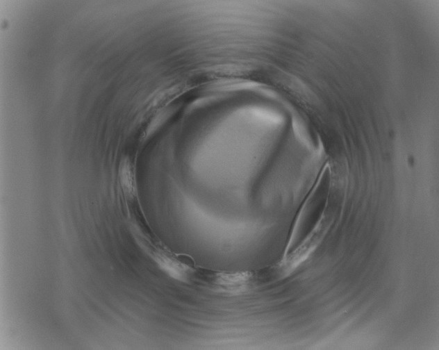 X0000076340143200610161743