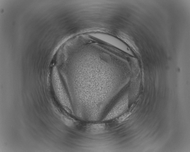 X0000076340156200610161742