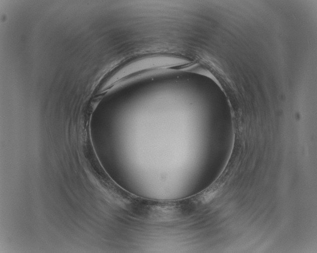 X0000076340164200610161743