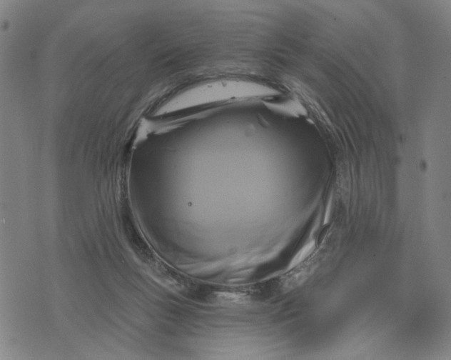 X0000076340167200610161743