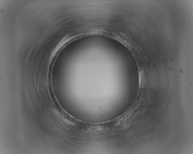 X0000076340195200610161742