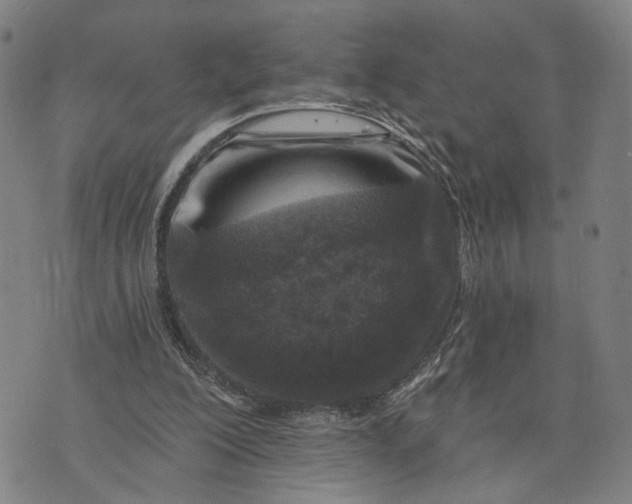 X0000076340200200610161742