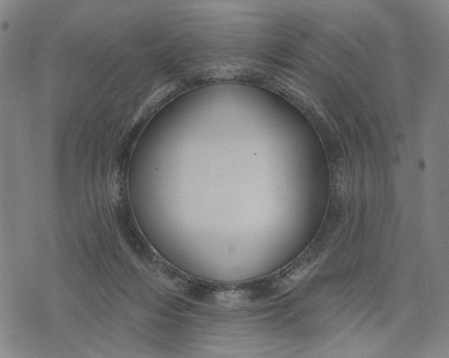 X0000076340216200610161742