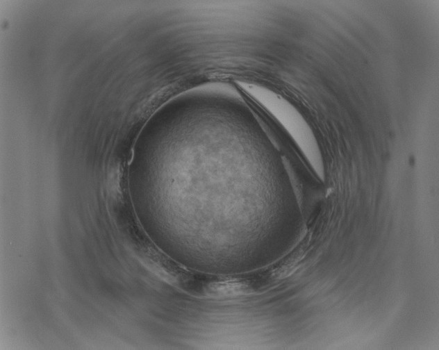 X0000076340219200610161742