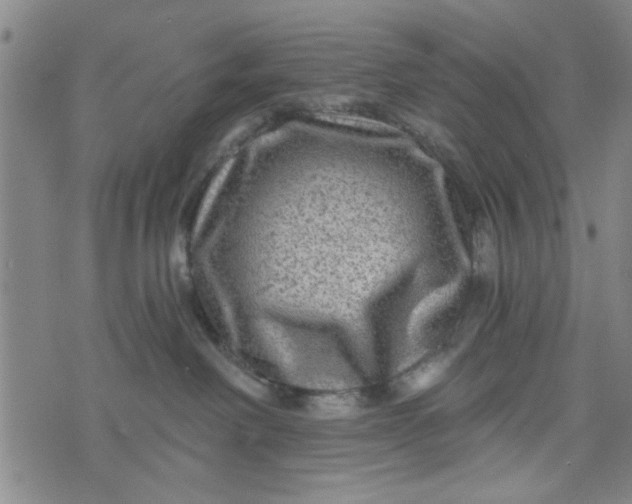 X0000076340238200610161741