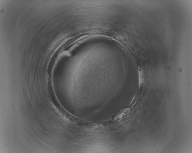 X0000076340243200610161741