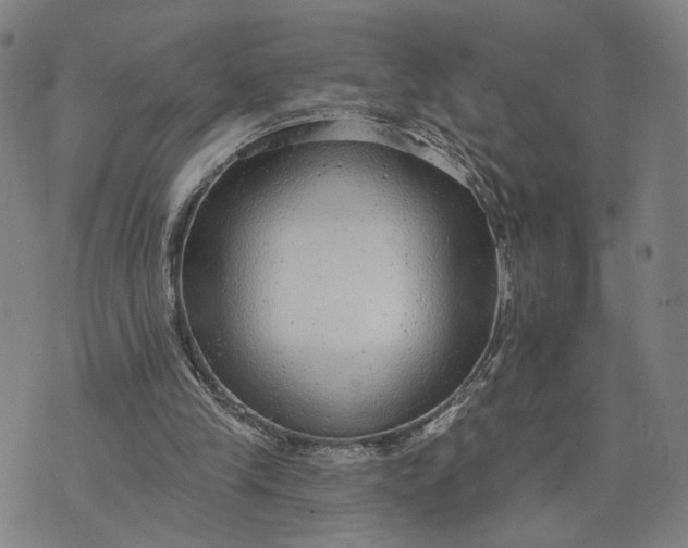 X0000076340245200610161741