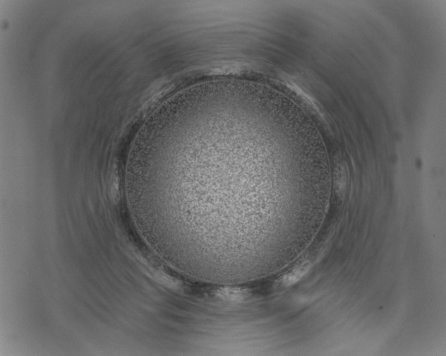 X0000076340261200610161741
