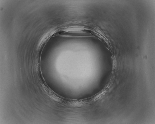 X0000076340293200610161740