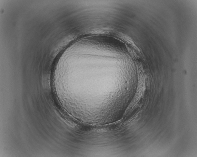 X0000076340299200610161740